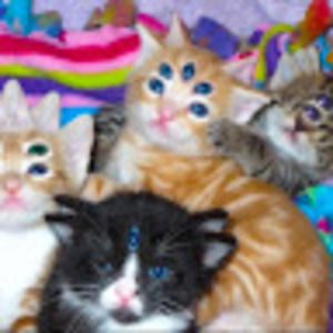 Meet your Posher, Megan